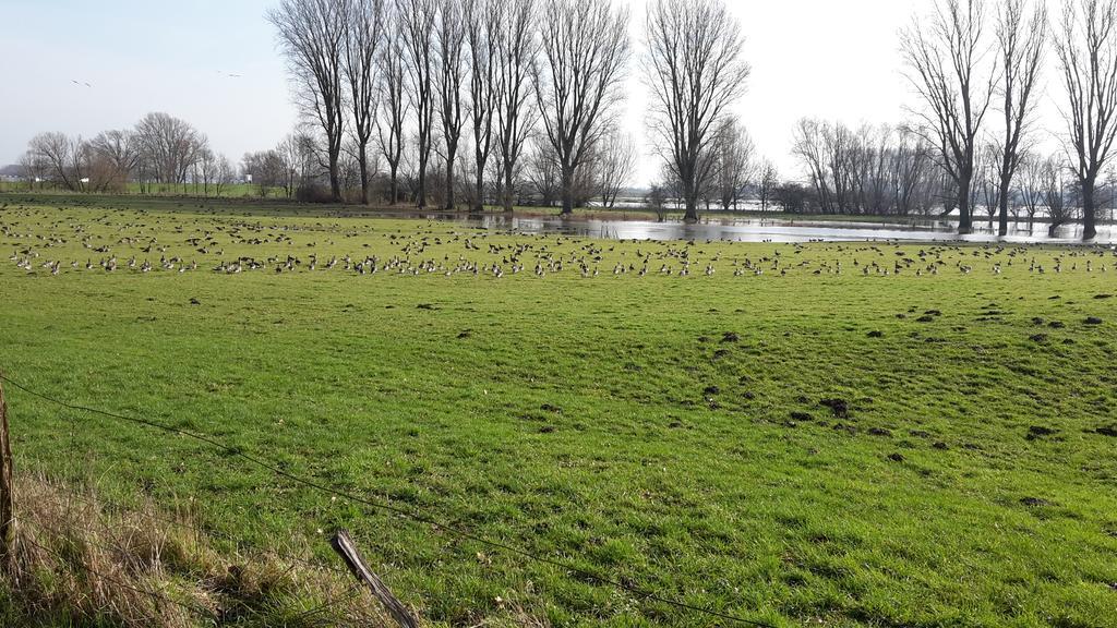 Ferienwohnung Eulenturm Xanten Kültér fotó